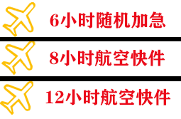 龙嘉航空托运快递公司,专业空运当天件